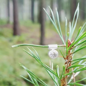 Kettenanhänger mit besonderem Rauchquarz aus dem Fichtelgebirge - Münchberg